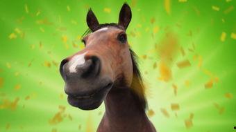 乌鸦爆料小鱼儿视频大全,小鱼儿视频大全幕后揭秘 第2张 乌鸦爆料小鱼儿视频大全,小鱼儿视频大全幕后揭秘 第2张